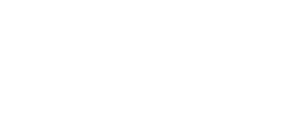 "LV Pliezhausen 2012 e.V."